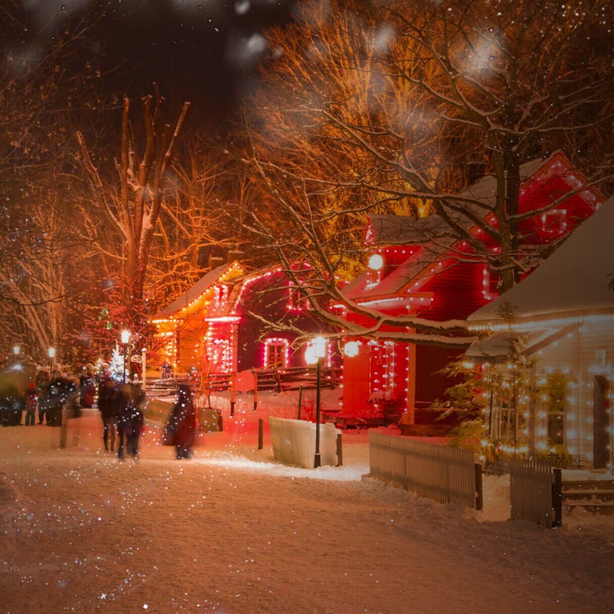 Village illuminé Desjardins